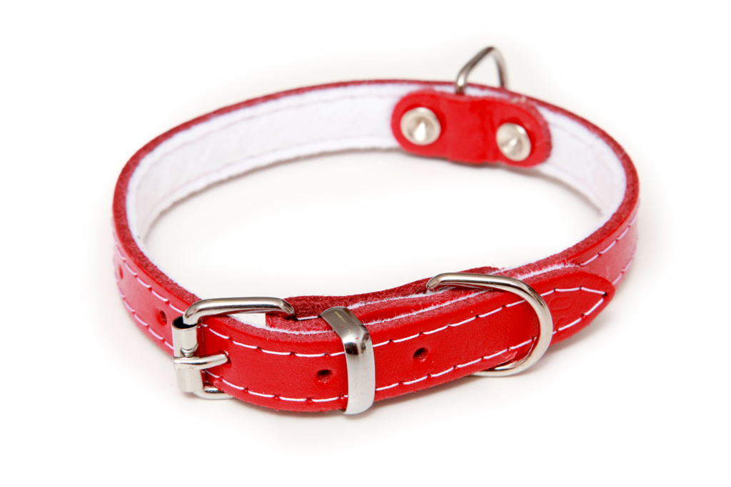 BAFPET Kožený obojek podšitý filcem, STELLA - hladká Barva: Přírodní, Rozměr: 16mm x 45cm /36-42/ 01108