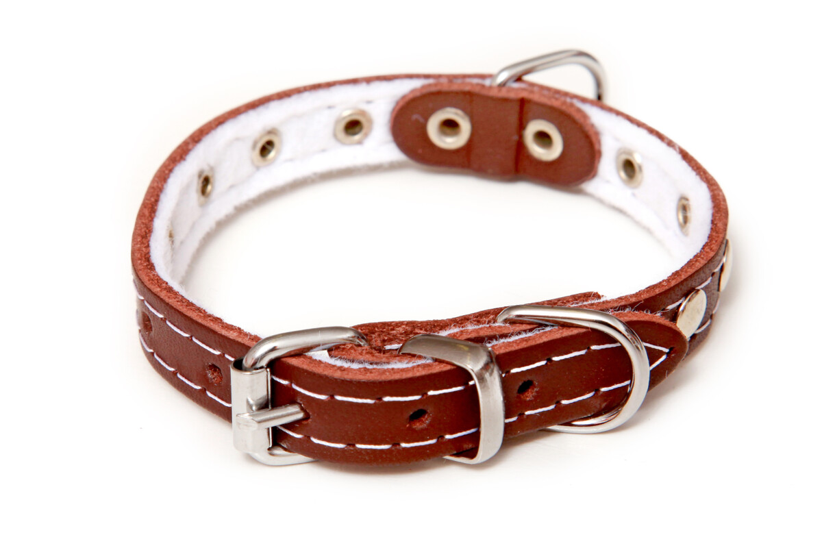 BAFPET Kožený obojek podšitý, zdobený nýty Barva: Přírodní, Rozměr: 16mm x 45cm /36-42/ 01113