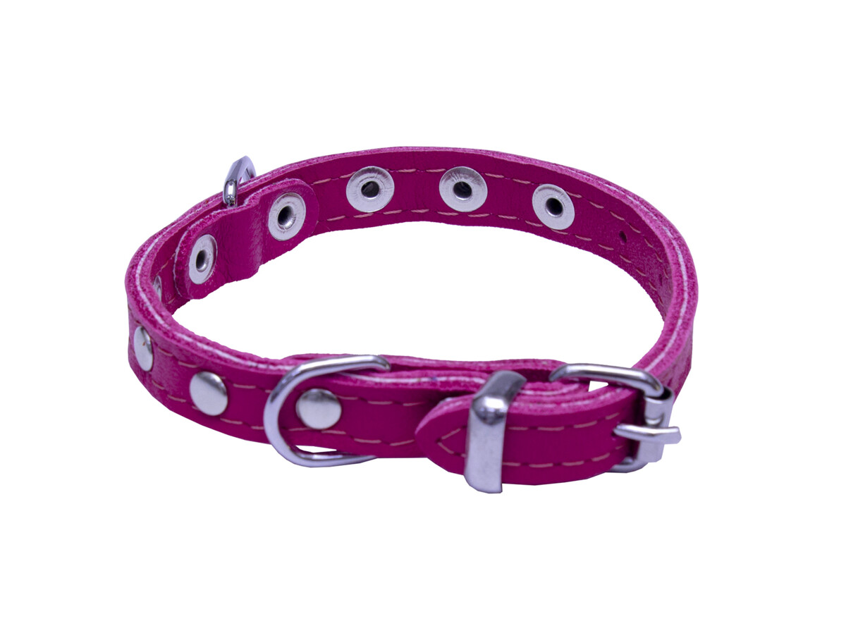 BAFPET Obojky kožené, SUNNY - zdobený nýty Barva: Hnědá, Rozměr: 10mm x 26cm /18-23/ 02109NK