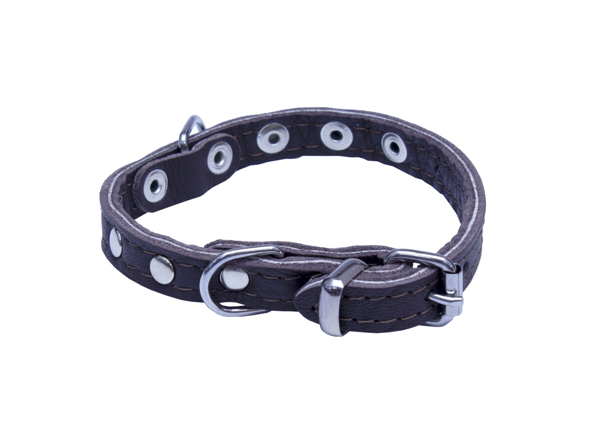 BAFPET Obojky kožené, SUNNY - zdobený nýty Barva: Přírodní, Rozměr: 10mm x 26cm /18-23/ 02109NK