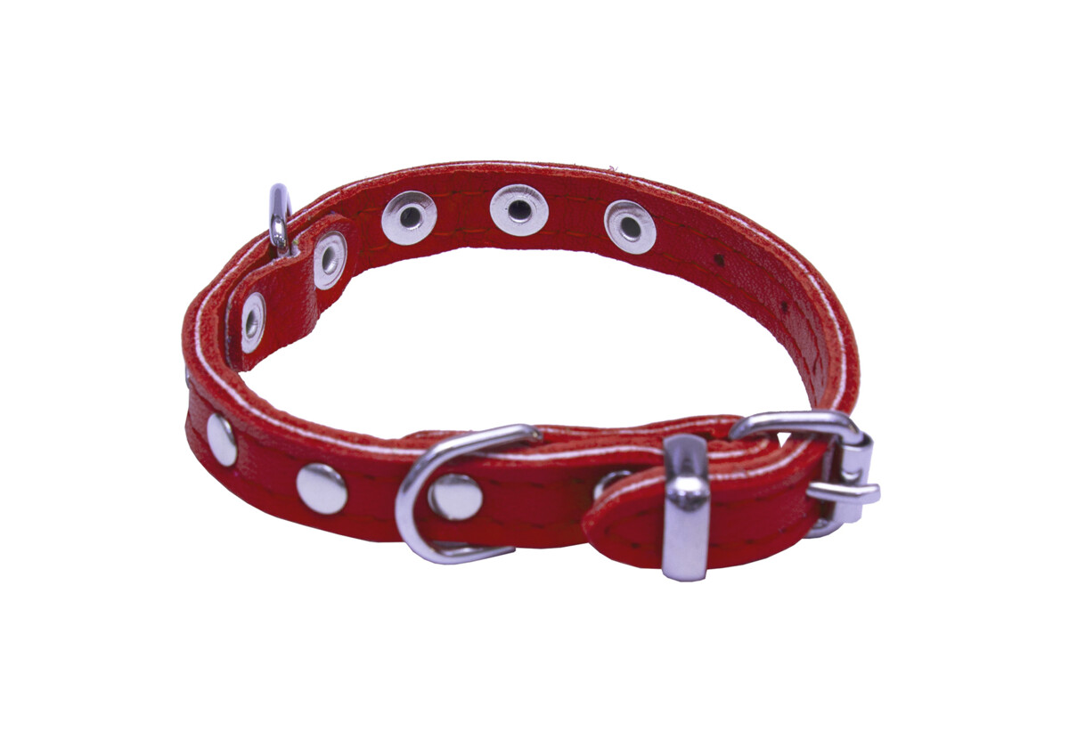 BAFPET Obojky kožené, SUNNY - zdobený nýty Barva: Přírodní, Rozměr: 10mm x 26cm /18-23/ 02109NK