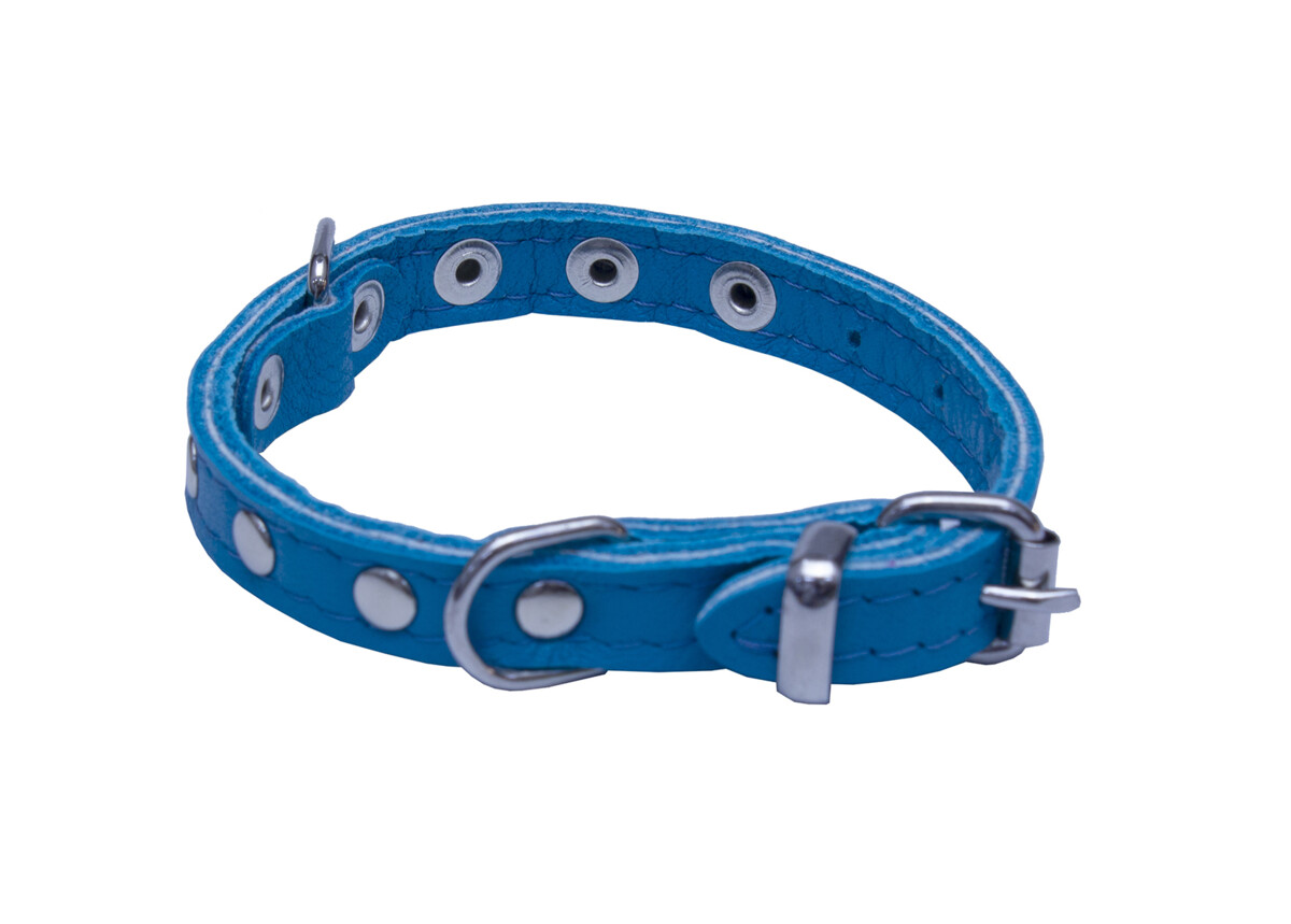 BAFPET Obojky kožené, SUNNY - zdobený nýty Barva: Přírodní, Rozměr: 10mm x 26cm /18-23/ 02109NK