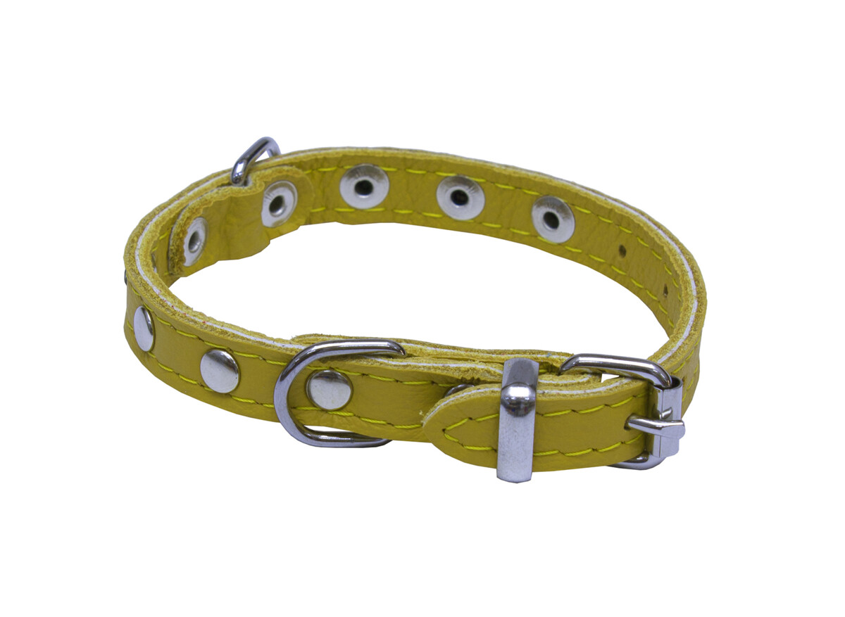 BAFPET Obojky kožené, SUNNY - zdobený nýty Barva: Šedá, Rozměr: 10mm x 26cm /18-23/ 02109NK
