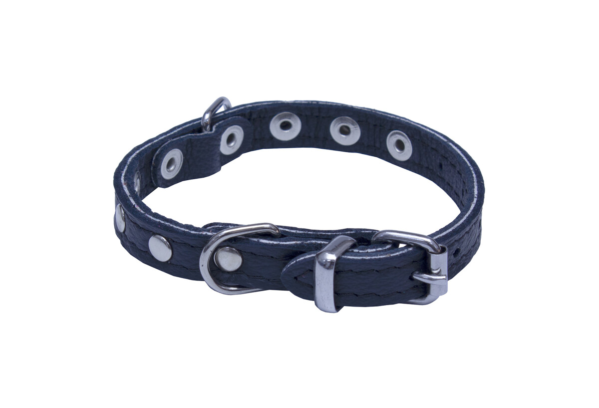 BAFPET Obojky kožené, SUNNY - zdobený nýty Barva: Žlutá, Rozměr: 10mm x 26cm /18-23/ 02109NK