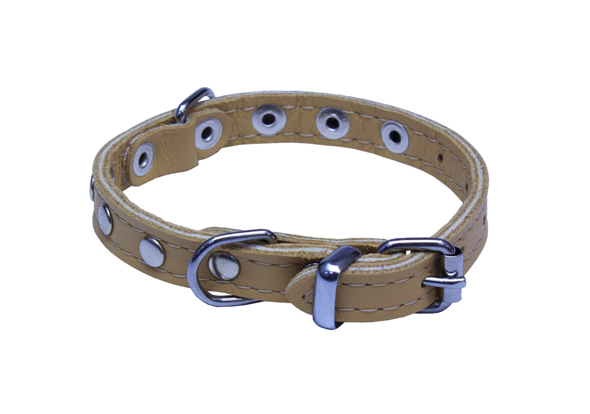 BAFPET Obojky kožené, SUNNY - zdobený nýty Barva: Žlutá, Rozměr: 10mm x 26cm /18-23/ 02109NK