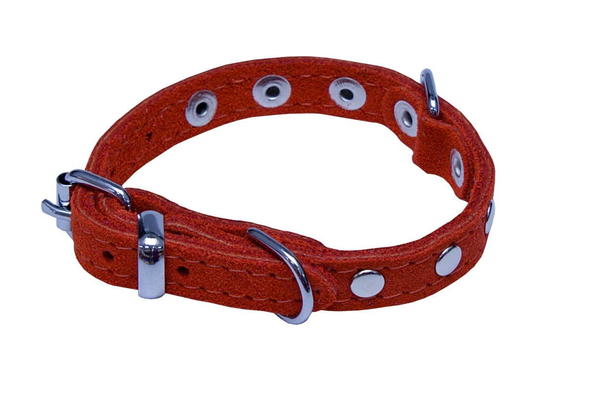 BAFPET Obojky SUNNY, zdobené nýty Barva: Hnědá, Rozměr: 10mm x 26cm /18-23/ 02109N