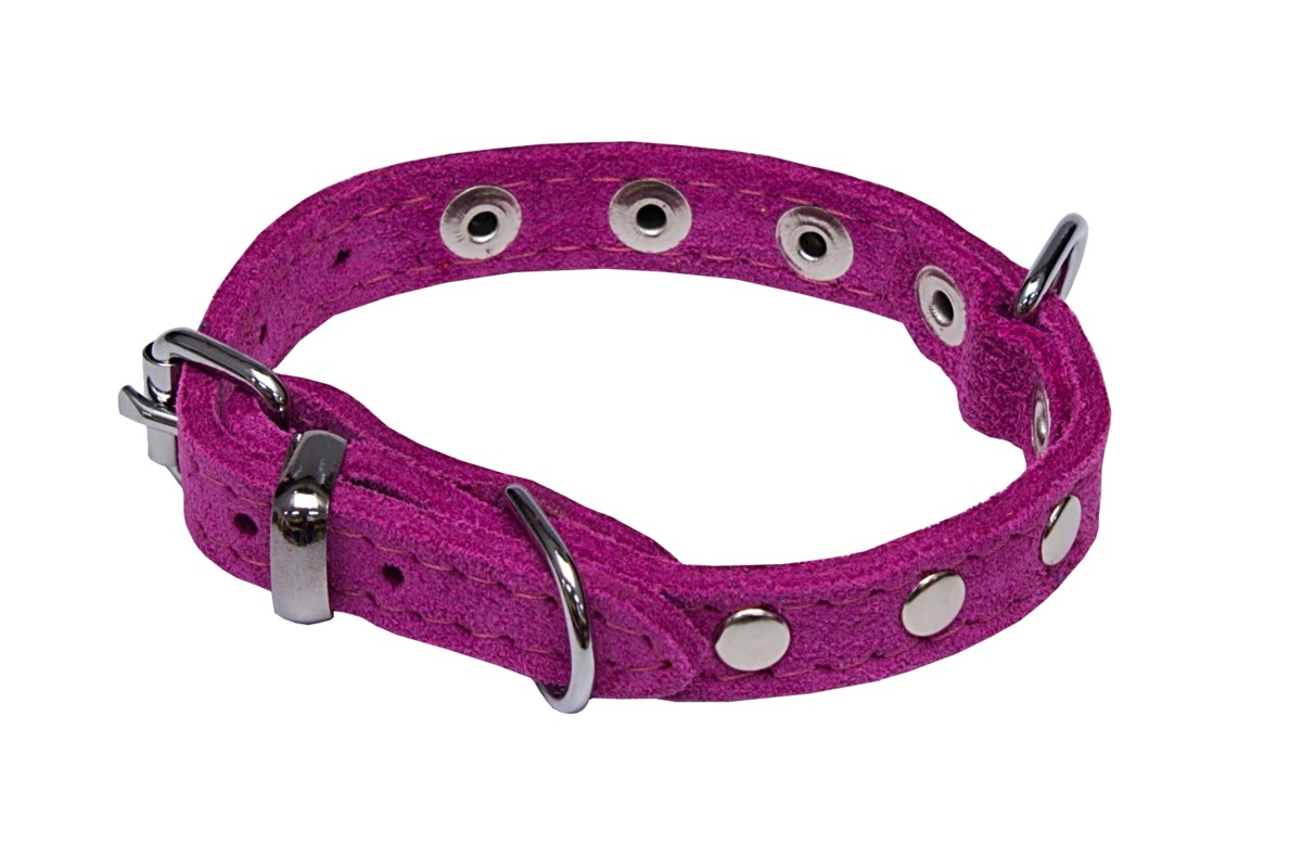 BAFPET Obojky SUNNY, zdobené nýty Barva: Hnědá, Rozměr: 10mm x 26cm /18-23/ 02109N