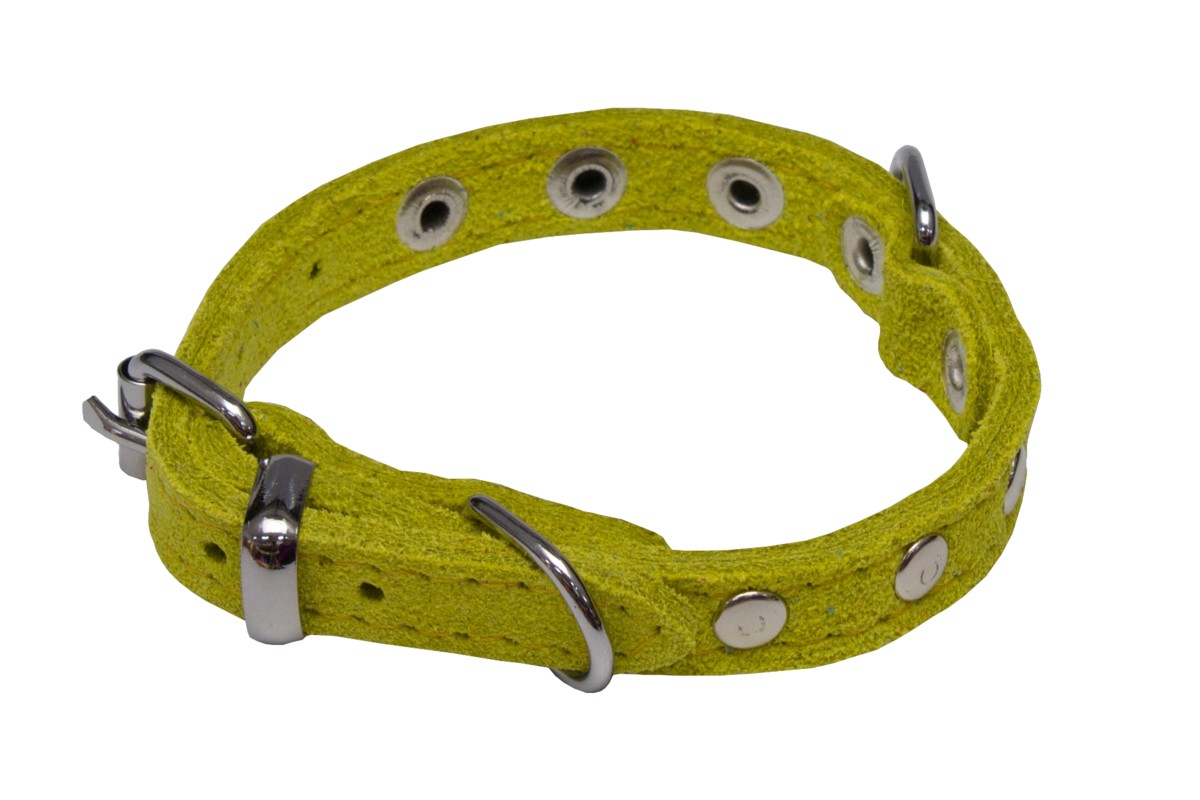 BAFPET Obojky SUNNY, zdobené nýty Barva: Hnědá, Rozměr: 10mm x 26cm /18-23/ 02109N