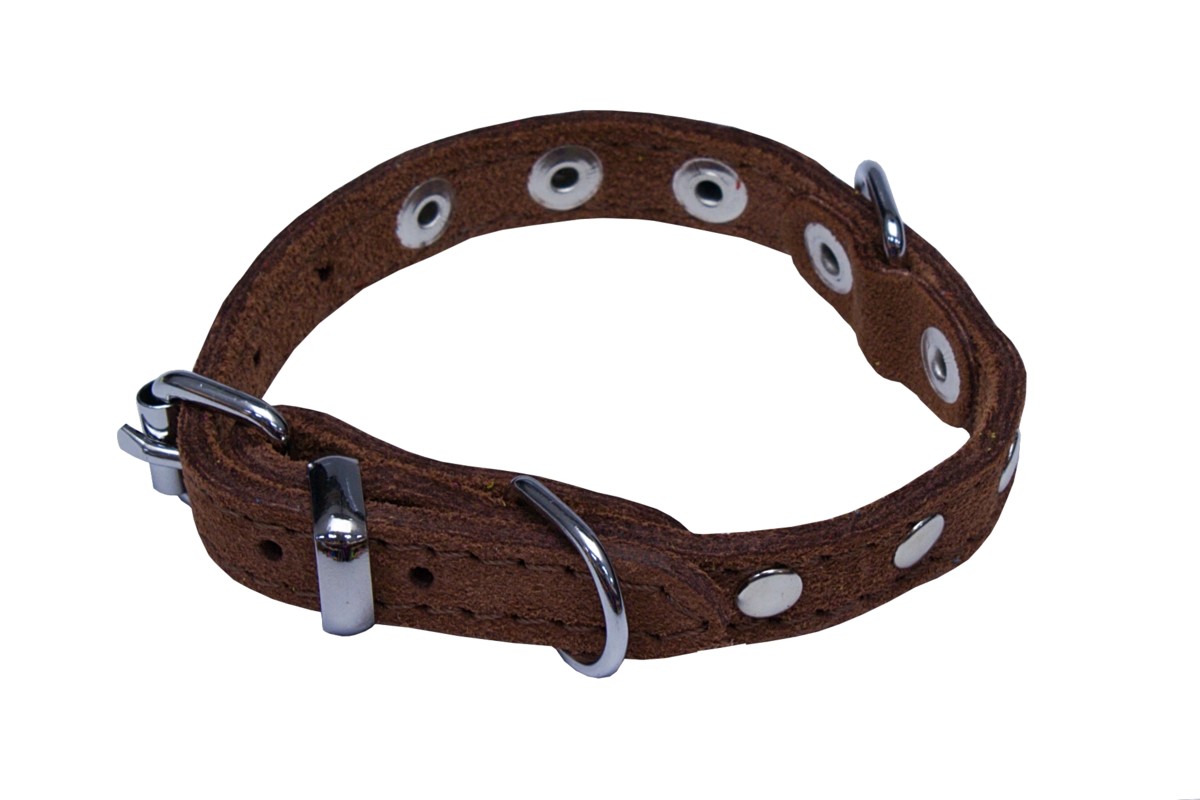 BAFPET Obojky SUNNY, zdobené nýty Barva: Žlutá, Rozměr: 10mm x 26cm /18-23/ 02109N