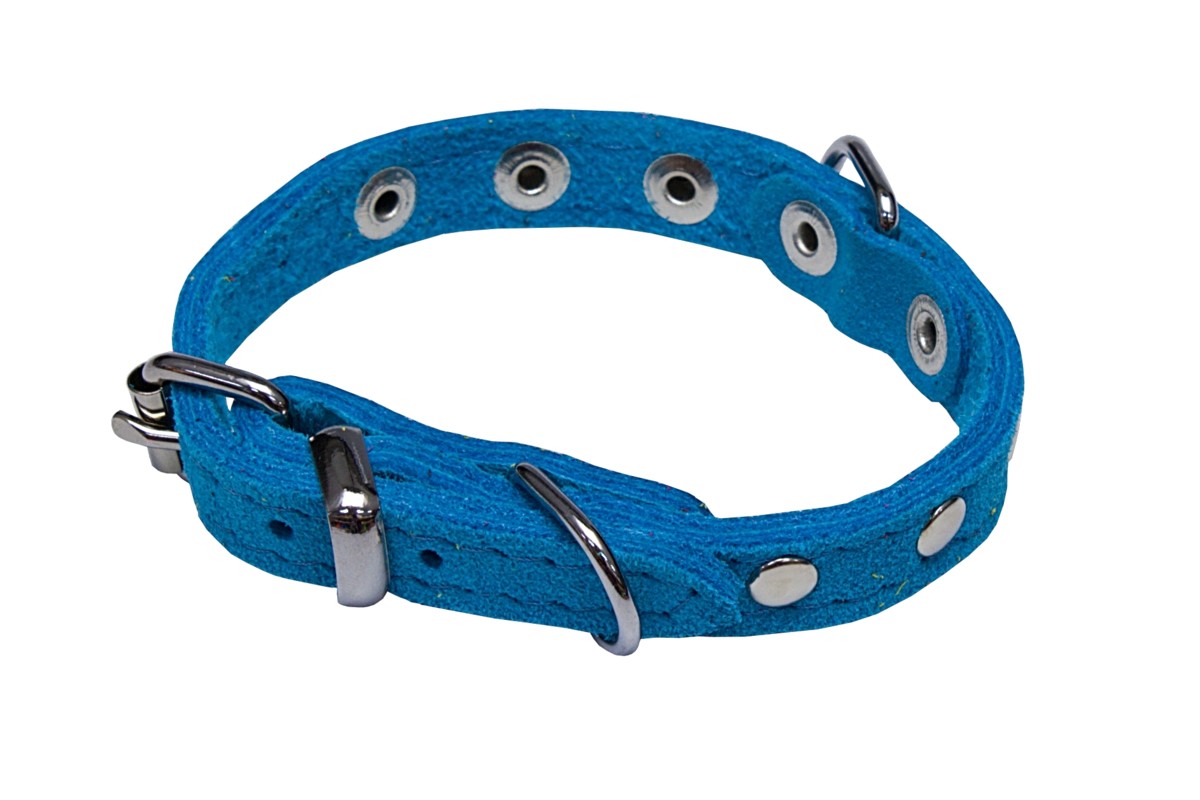 BAFPET Obojky SUNNY, zdobené nýty Barva: Žlutá, Rozměr: 10mm x 26cm /18-23/ 02109N