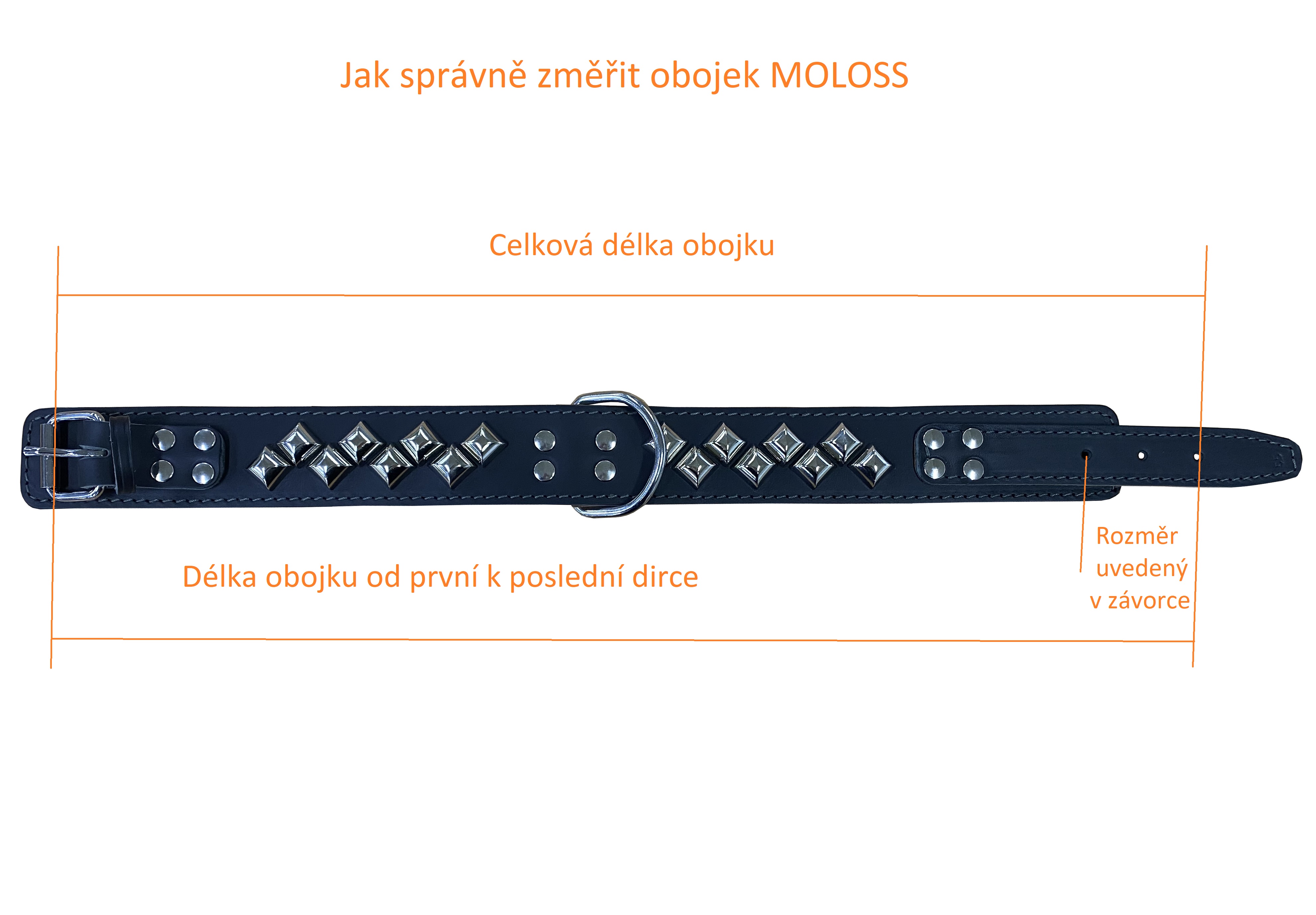 BAFPET Kožený obojek MOLOSS, zdobený pyramidami 2ř. Barva: Černá, Rozměr: 50mm x 70cm /65-71/ 08118