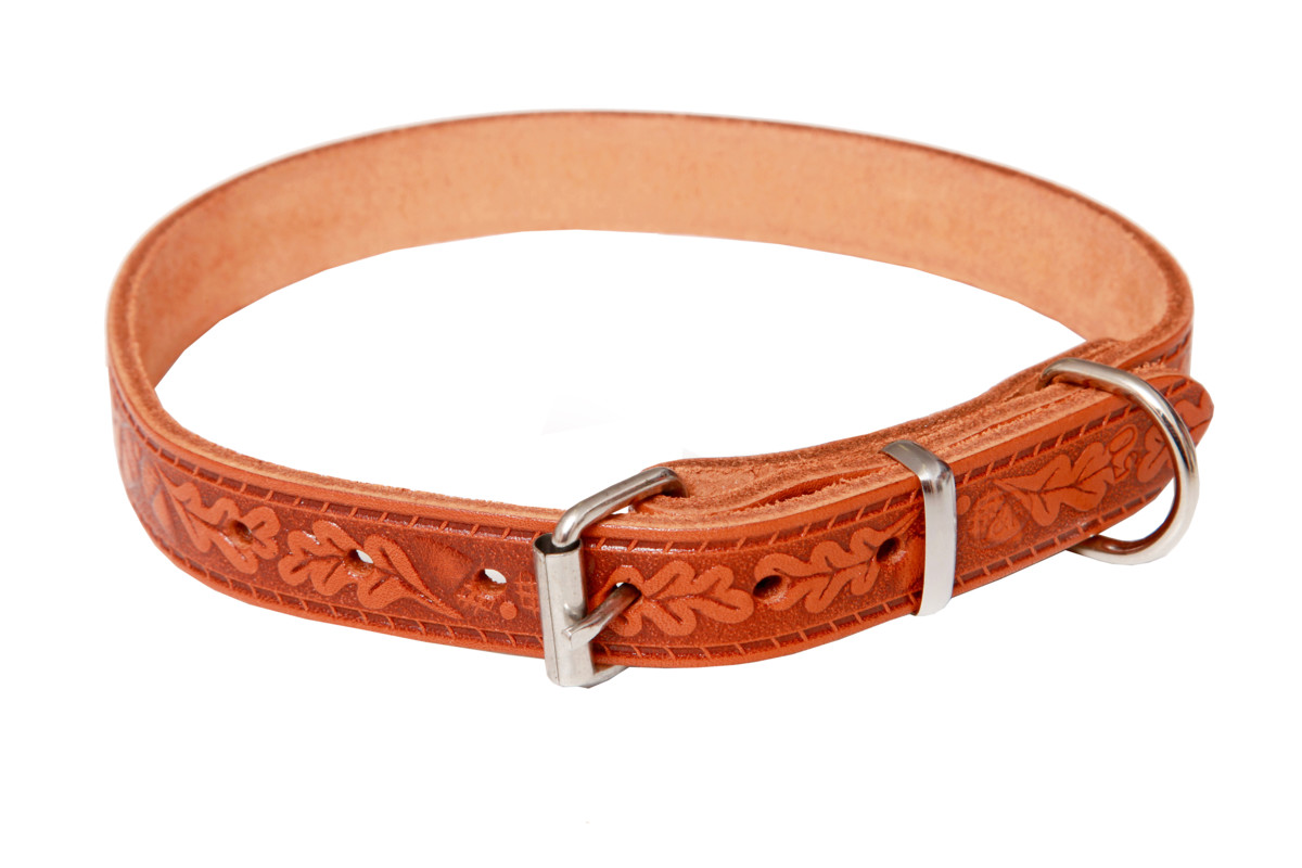 BAFPET Obojky kožené GRAZL, zdobené Barva: Hnědá, Rozměr: 18mm x 50cm /36-45/ 14104V