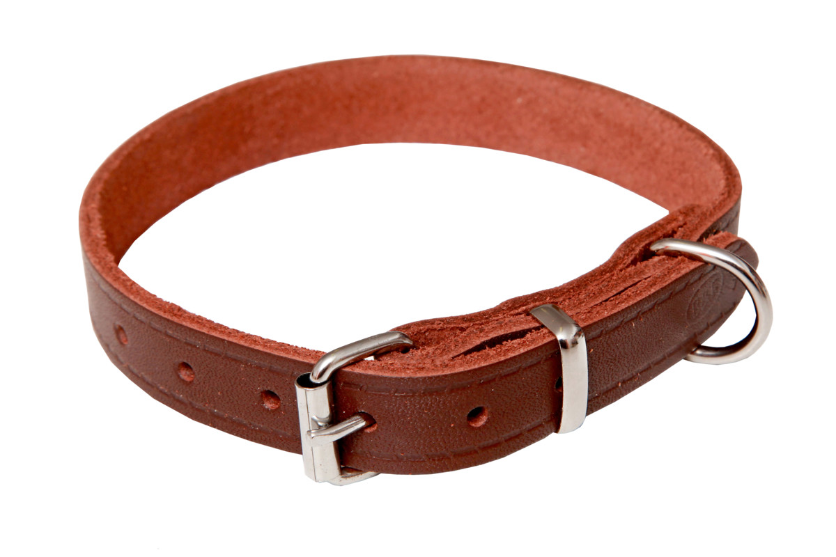 BAFPET Kožený obojek GRAZL, hladký Barva: Černá, Rozměr: 22mm x 60cm /45-55/ 14106
