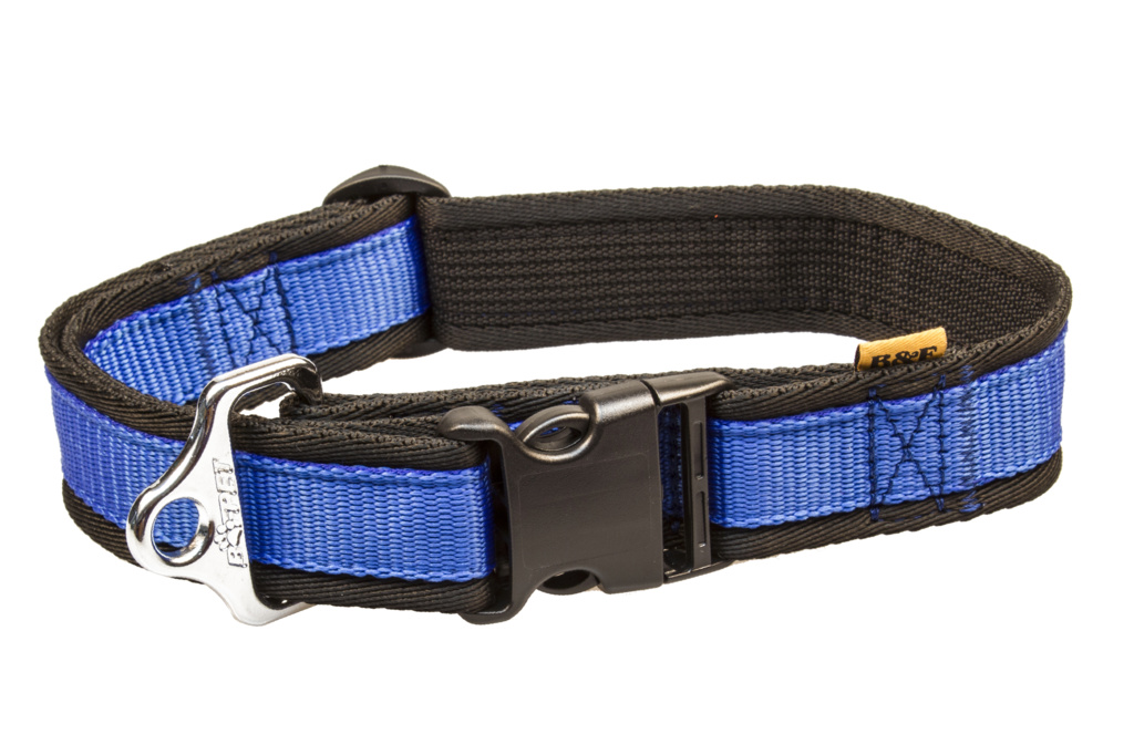 BAFPET Popruhové obojky  JEDNOBAREVNÉ Barva: Oranžová, Rozměr: 40mm x 43-74cm 18104J