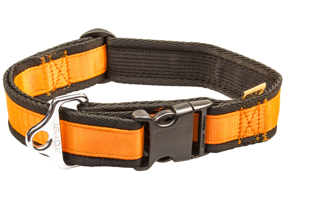 BAFPET Popruhové obojky  JEDNOBAREVNÉ Barva: Žlutá, Rozměr: 40mm x 43-74cm 18104J