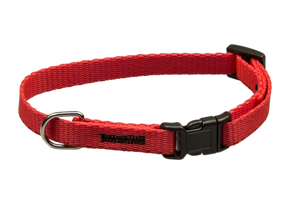 BAFPET Popruhové obojky JEDNOBAREVNÉ Barva: Fuchsie, Rozměr: 10mm x 20-35cm 18105J