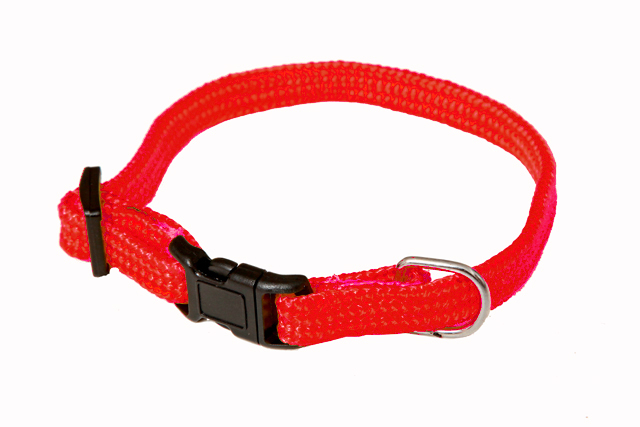 BAFPET Popruhové obojky NYLON, jednobarevné Barva: Fialová, Rozměr: 10mm x 18-26cm 18105