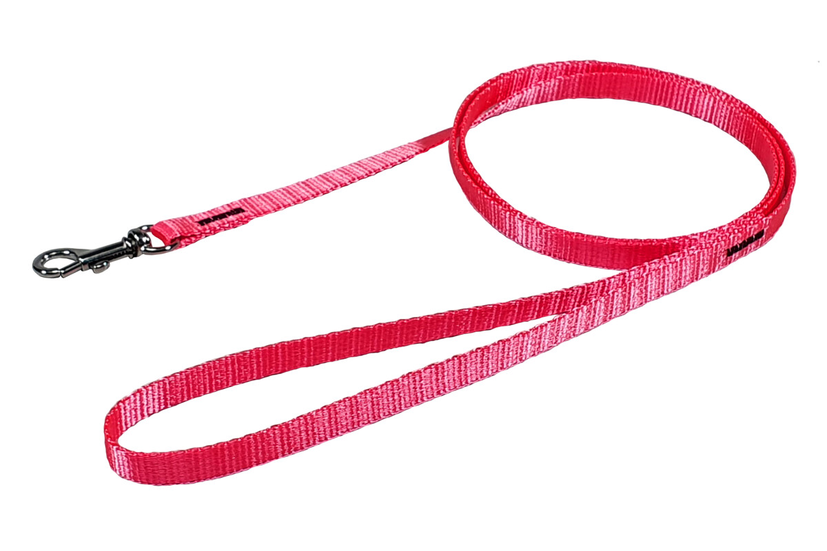 BAFPET Popruhová vodítka, NEON Barva: Oranžová, Rozměr: 10mm x 120cm 18202N