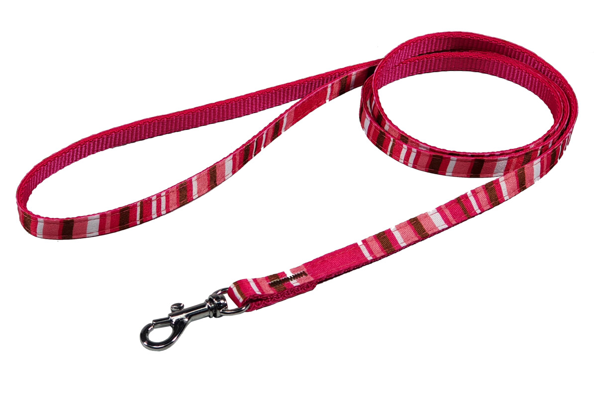 BAFPET Popruhová vodítka PROUŽKY Barva: Hnědá, Rozměr: 10mm x 120cm 18202PS