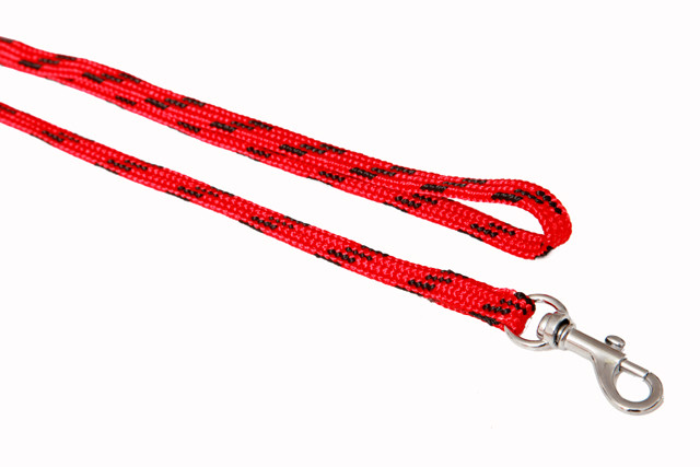 BAFPET Vodítka popruhová NYLON, barevno-černé Barva: Zelená, Rozměr: 10mm x 130cm 18202