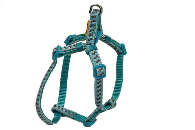 BAFPET Popruhový postroj REFLEXNÉ KOSTIČKY Farba: Oranžová, Veľkosť: 25mm x OH 58-90cm 18416K