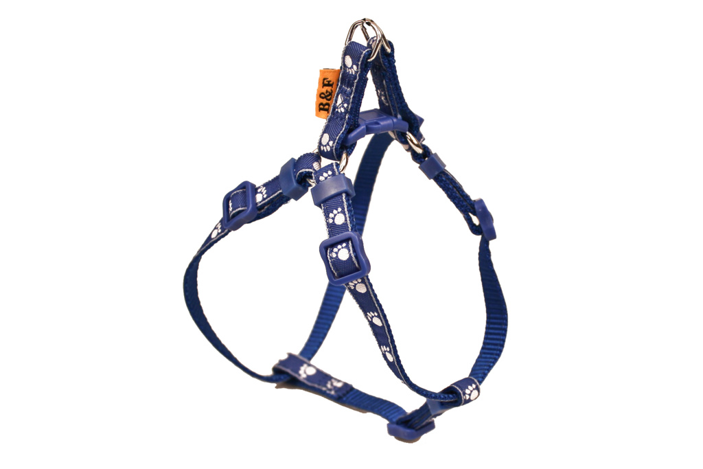 BAFPET Popruhový postroj LABKY Farba: Oranžová, Veľkosť: 25mm x OH 58-90cm 18416T