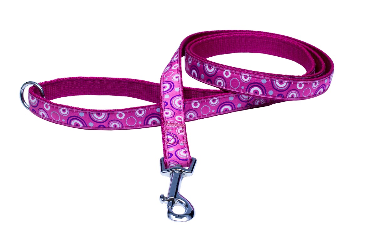 BAFPET Popruhová vodítka KROUŽKY Barva: Fialová, Rozměr: 20mm x 150cm 18211KR