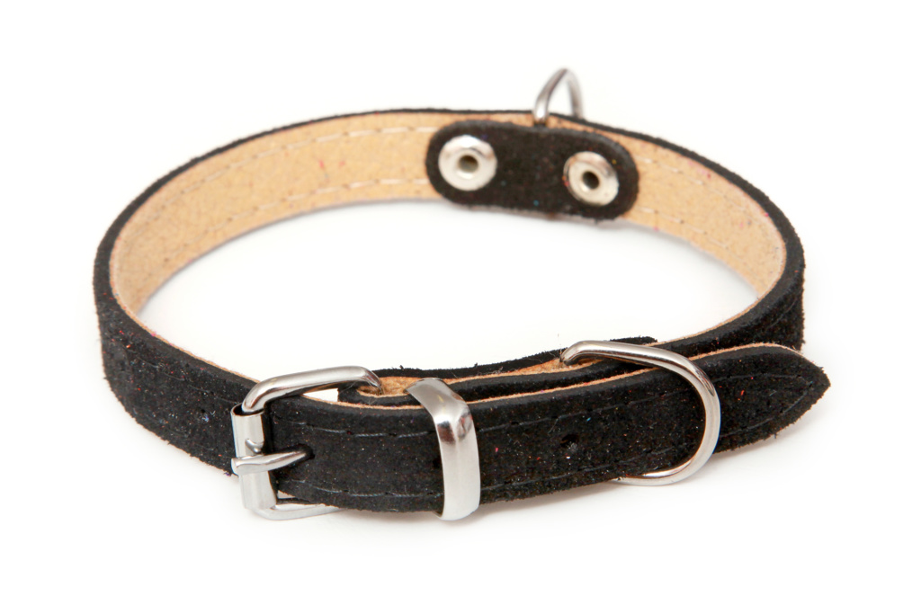 BAFPET Obojky ze semišové kůže SUNNY, hladké Barva: Červená, Rozměr: 14mm x 35cm /26-32/ 02102