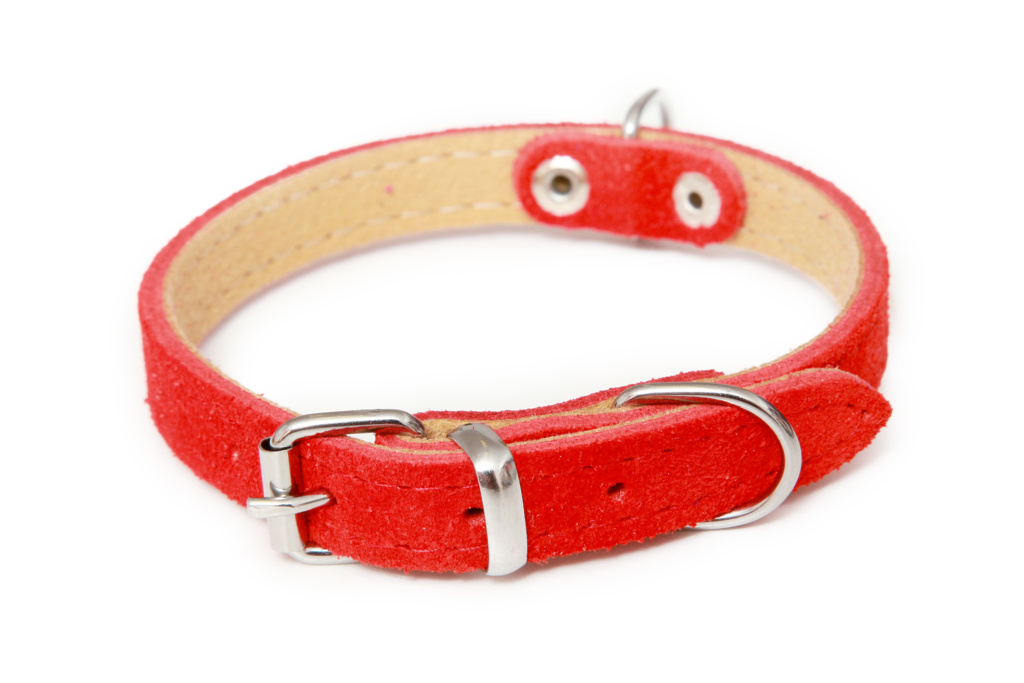 BAFPET Obojky ze semišové kůže SUNNY, hladké Barva: Fuchsie, Rozměr: 14mm x 35cm /26-32/ 02102