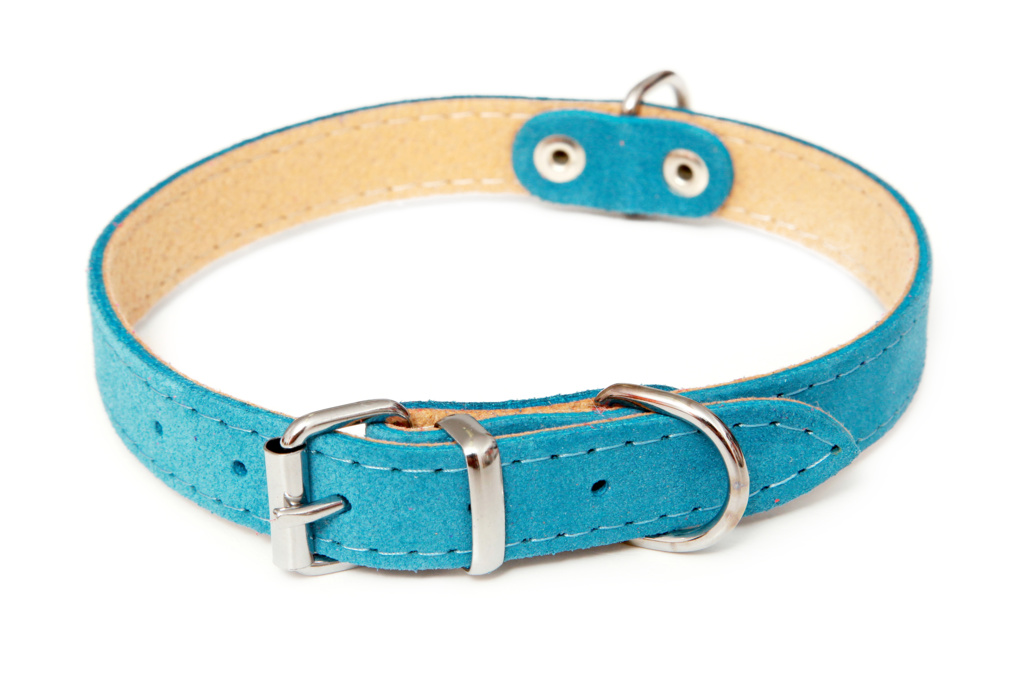 BAFPET Obojky ze semišové kůže SUNNY, hladké Barva: Fuchsie, Rozměr: 14mm x 35cm /26-32/ 02102