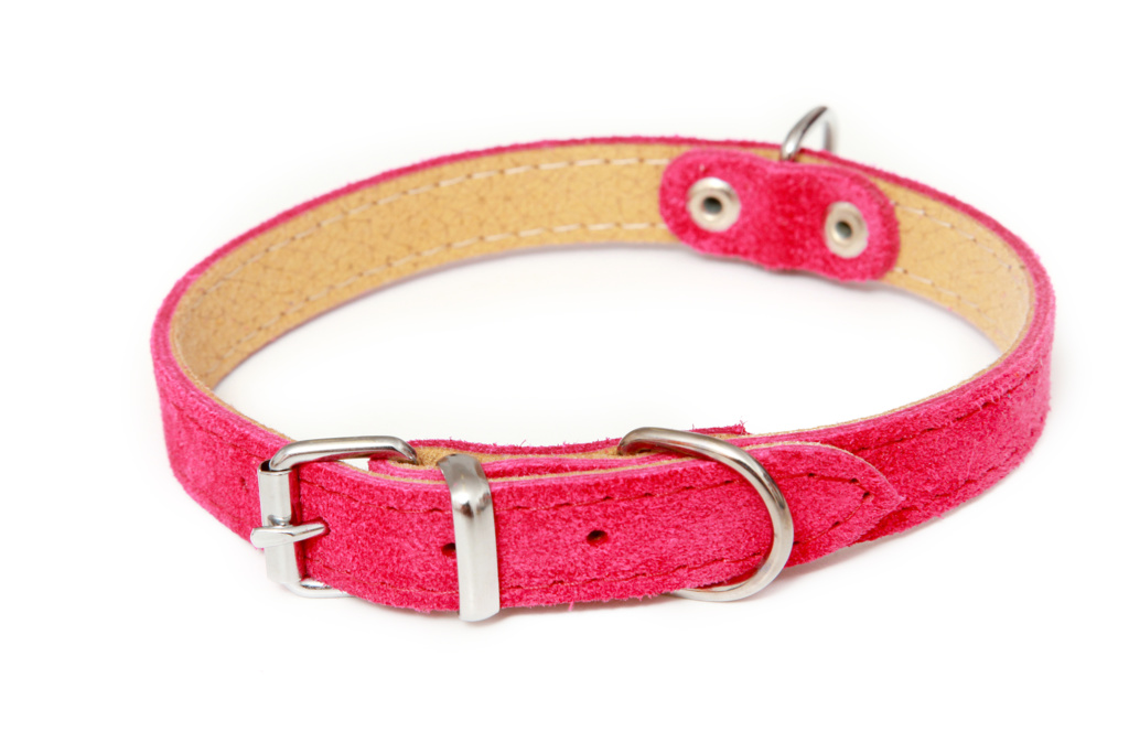 BAFPET Obojky ze semišové kůže SUNNY, hladké Barva: Černá, Rozměr: 16mm x 40cm /30-35/ 02103