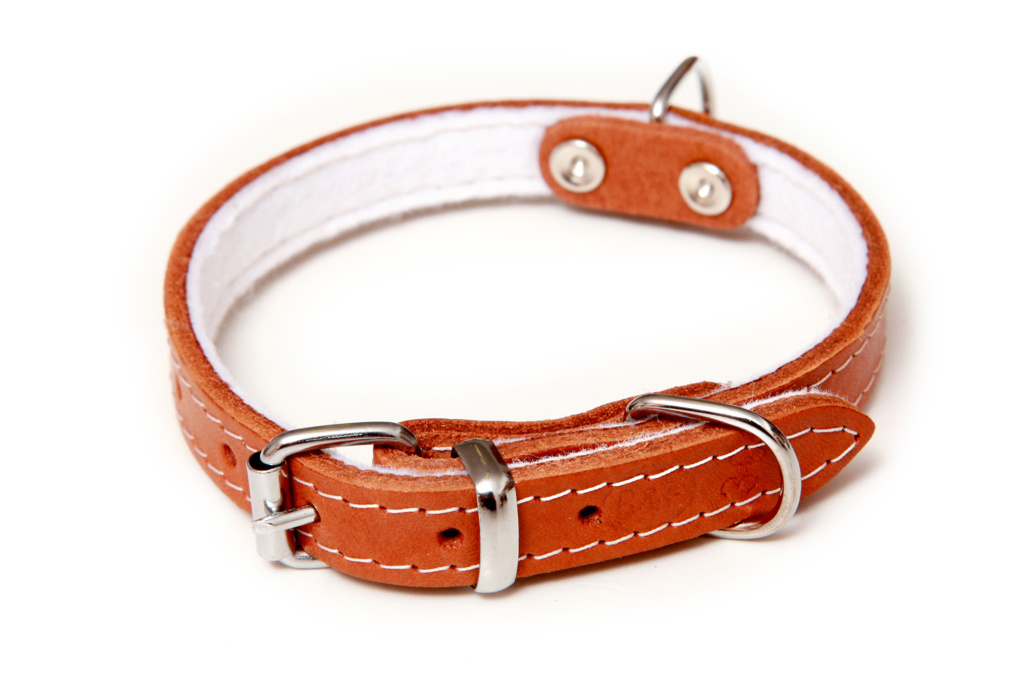 BAFPET Kožený obojek podšitý filcem, STELLA - hladká Barva: Červená, Rozměr: 30mm x 55cm /38-49/ 01120