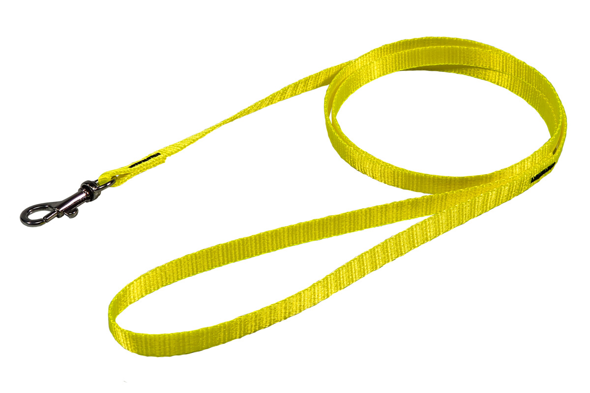 BAFPET Popruhová vodítka, NEON Barva: Zelená, Rozměr: 10mm x 120cm 18202N
