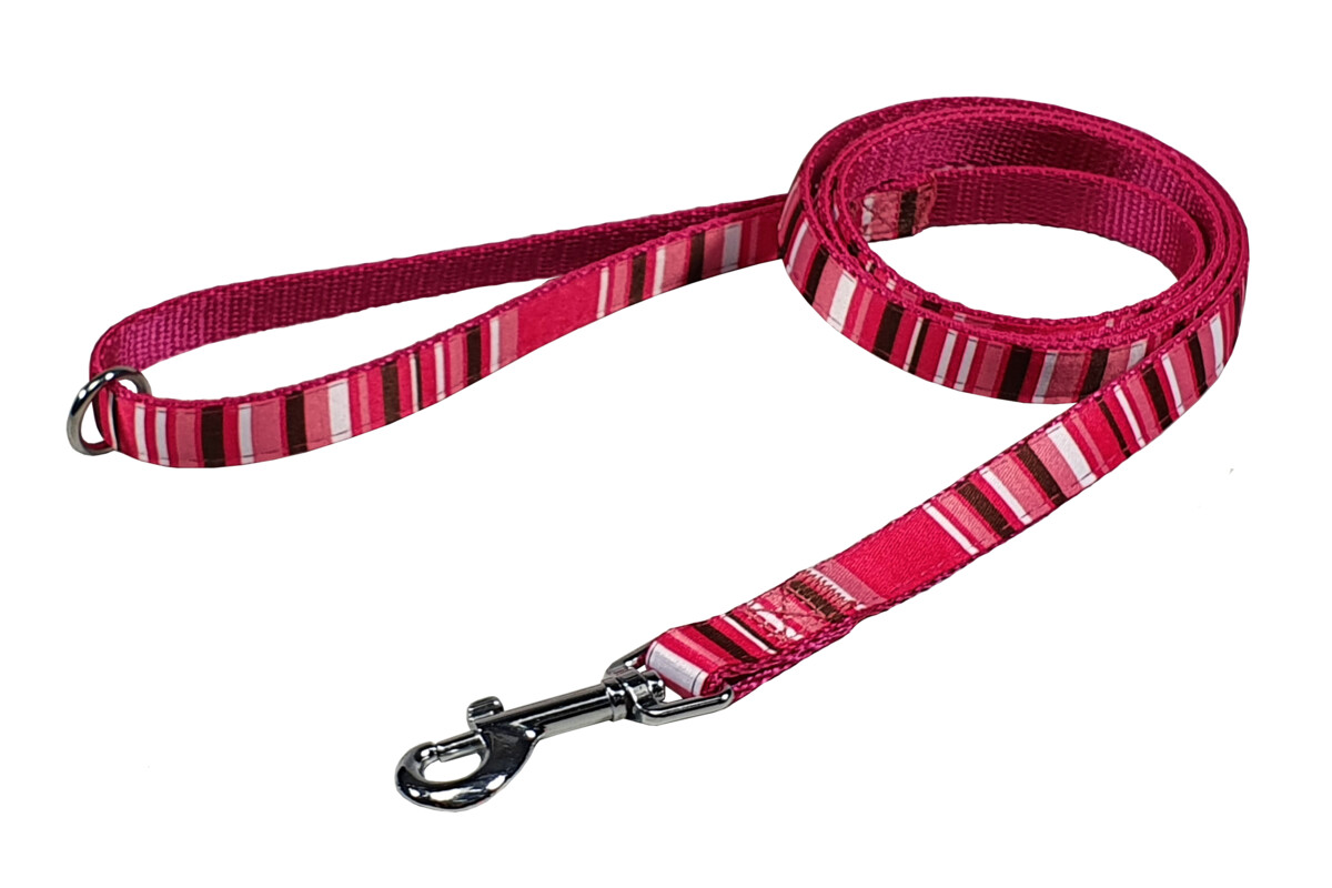BAFPET Popruhová vodítka PROUŽKY Barva: Modrá, Délka: 15mm x 150cm 18208PS