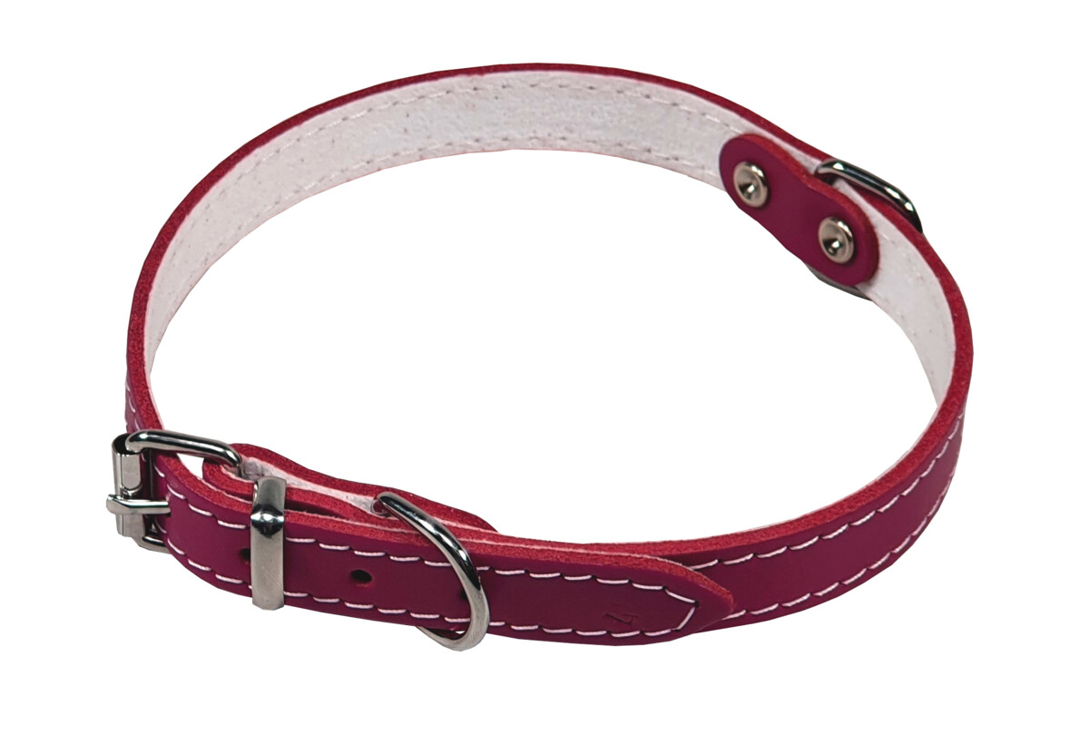 BAFPET Kožený obojek podšitý filcem, STELLA - hladká Barva: Černá, Rozměr: 16mm x 40cm /30-35/ 01107