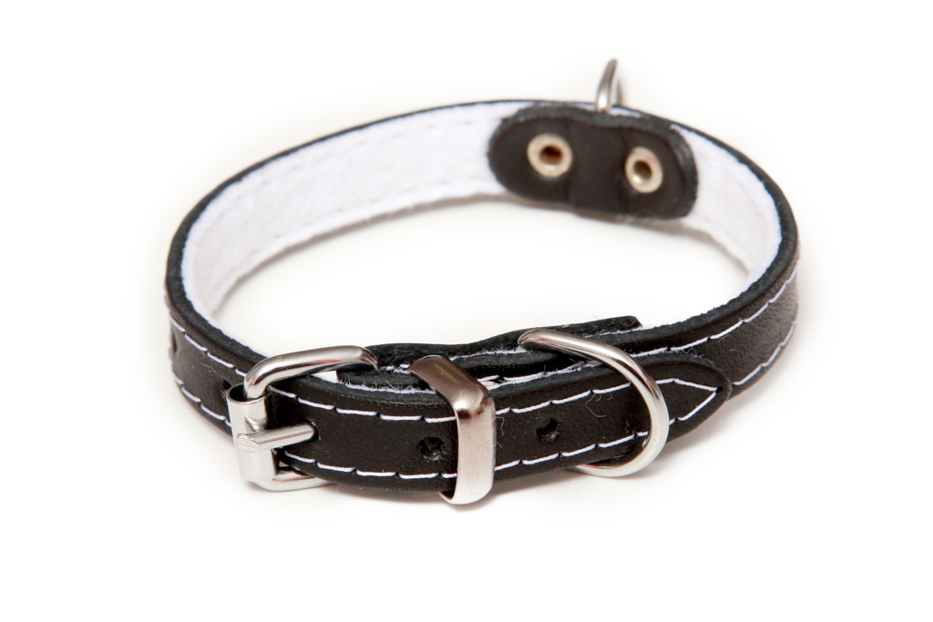 BAFPET Kožený obojek podšitý filcem, STELLA - hladká Barva: Červená, Rozměr: 12mm x 30cm /21-27/ 01105