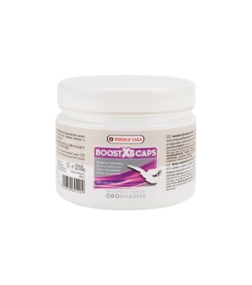 VL Holuby Boost X5 Caps 210g (350kapsul) - sila a vytrvalosť