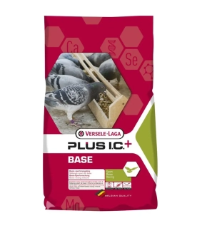 VL Holuby Base Plus I.C.+ základné 20 kg