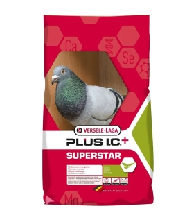 VL Holuby Superstar Plus I.C.+ vdovci 20 kg