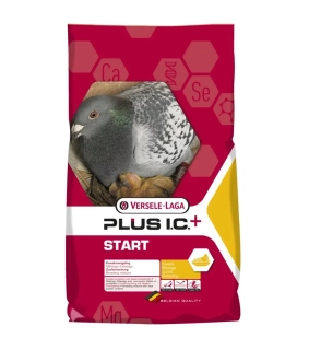 VL Holuby Start Plus I.C.+ chovná 20 kg