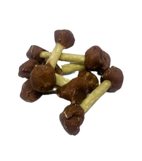 Pamlsok Salač Kosť činka z drvenej byvolej kože s kačacím mäsom 250 g