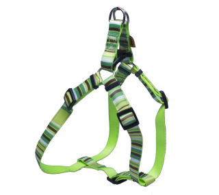 BAFPET Popruhový postroj PRÚŽKY Farba: Zelená, Veľkosť: 15mm x OH 32-46cm 18412PS