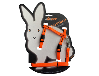 BAFPET Set KRÁLIK postroj + vôdzka Farba: Oranžová, Veľkosť postroja: 10mm x 120cm, 10mm x OK 19-26, OH 24-37cm 20411N