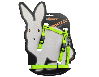 BAFPET Set KRÁLIK postroj + vôdzka Farba: Zelená, Veľkosť postroja: 10mm x 120cm, 10mm x OK 19-26, OH 24-37cm 20411N