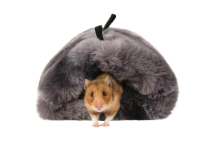 Závěsný pelíšek Fox