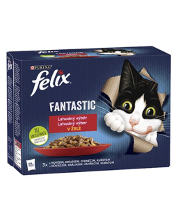 Nestlé FELIX Fantastic cat Multipack mäsový výber želé kapsička 12x85 g