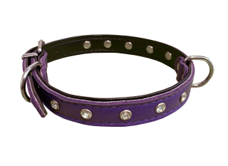 BAFPET Kožený obojek zdobený kamínky Barva: Fialová, Rozměr: 18mm x 50cm /41-48/ 03111