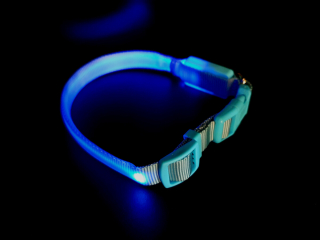 BAFPET Svietiaci obojok 1+1 ZADARMO Farba: Svetlo modrá, Rozmer: 15mm x 28-38cm 06116