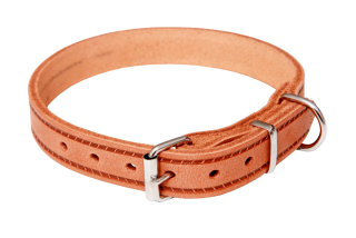 BAFPET Kožený obojok GRAZL, hladký Farba: Koňak, Rozmer: 12mm x 30cm /19-27/ 14100