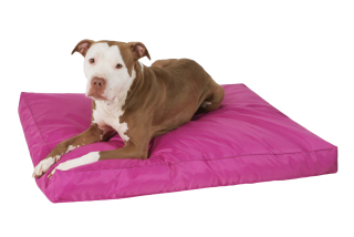 Ortopedická matrace Economy